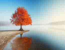 高﻿级​大﻿数‍据​分﻿析‍师‍证​书​好​处‌